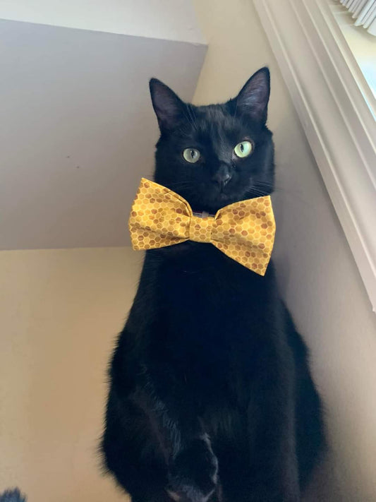 Bowties- cat and dog sizes