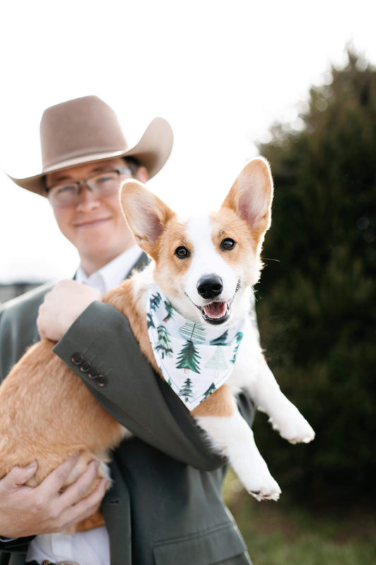 Pet Bandanas